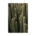 Column Cactus Print