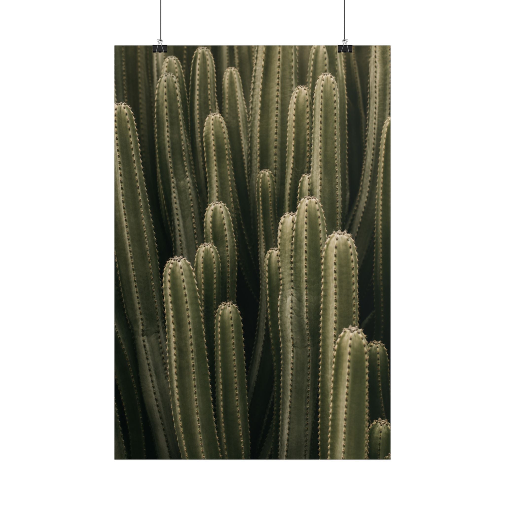 Column Cactus Print