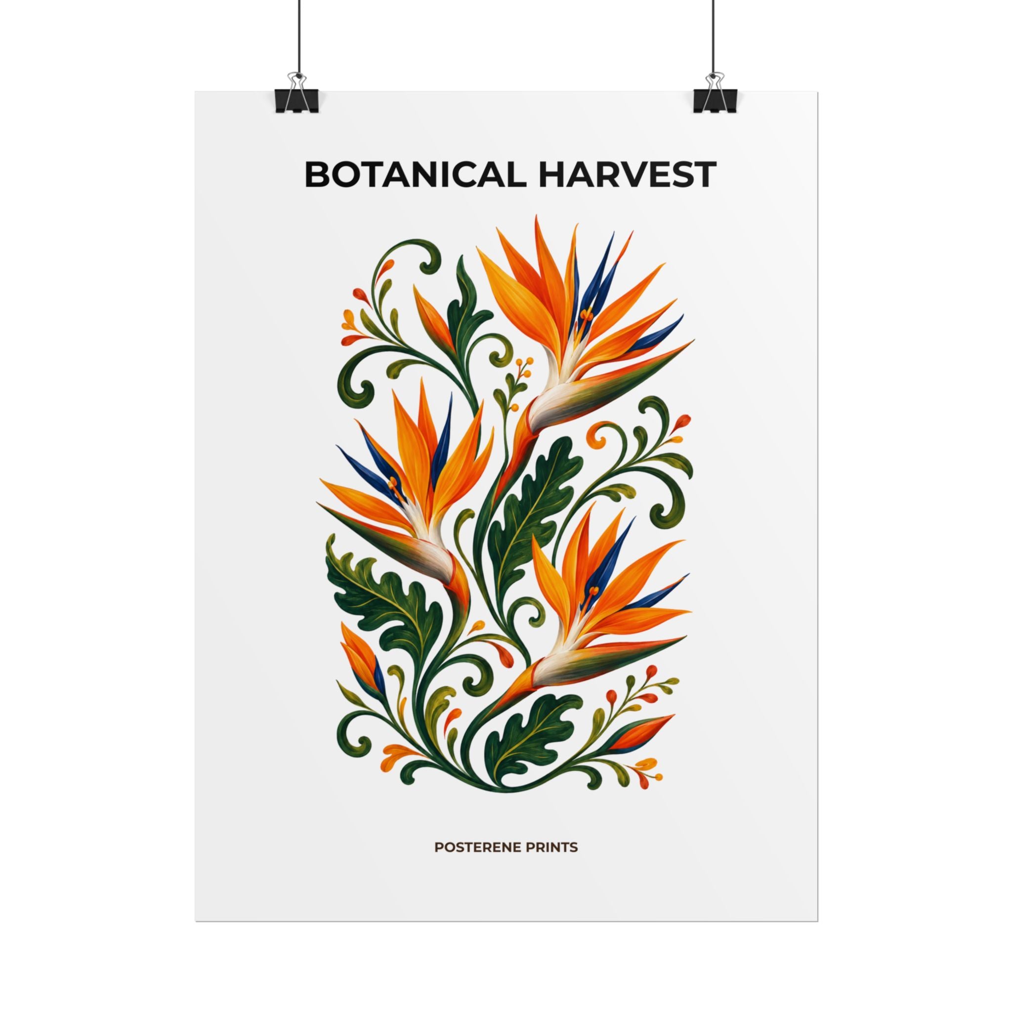 Bird of Paradise Botanical Print