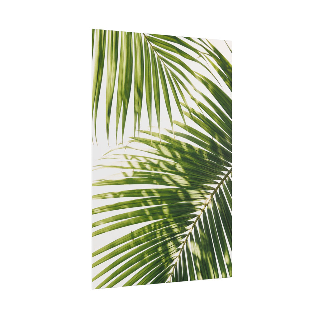 Palm Leaf Shadow Print