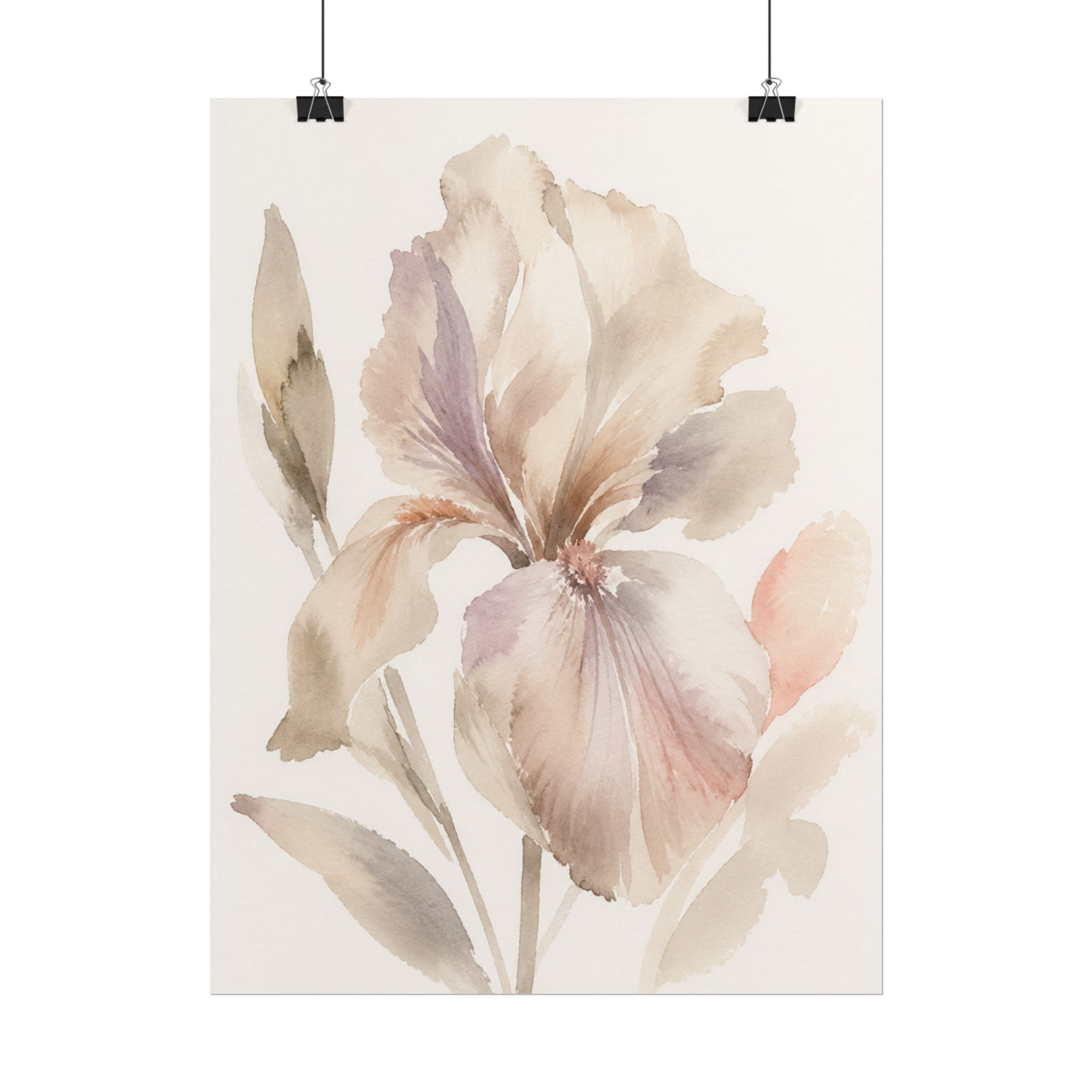 Soft White Iris Print