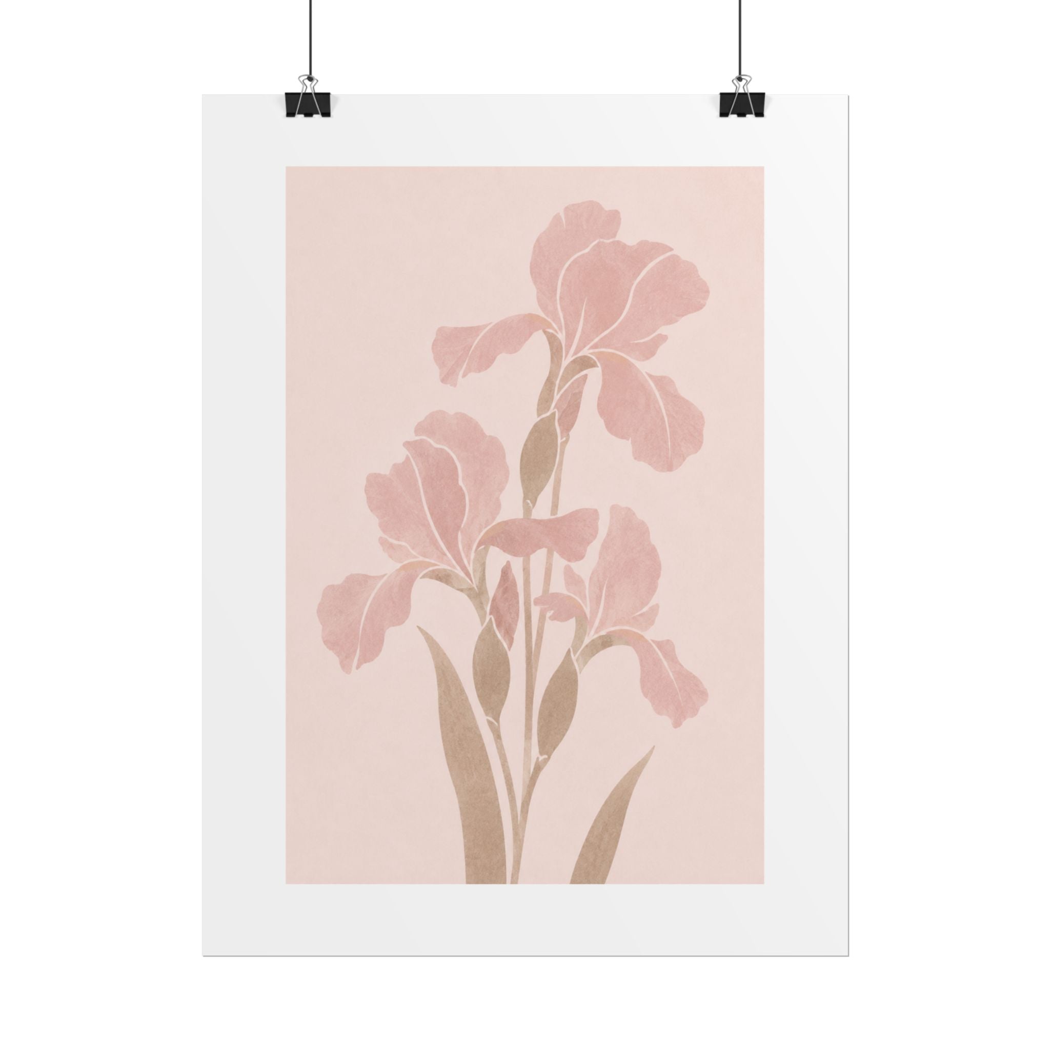 Blush Iris Stem Print