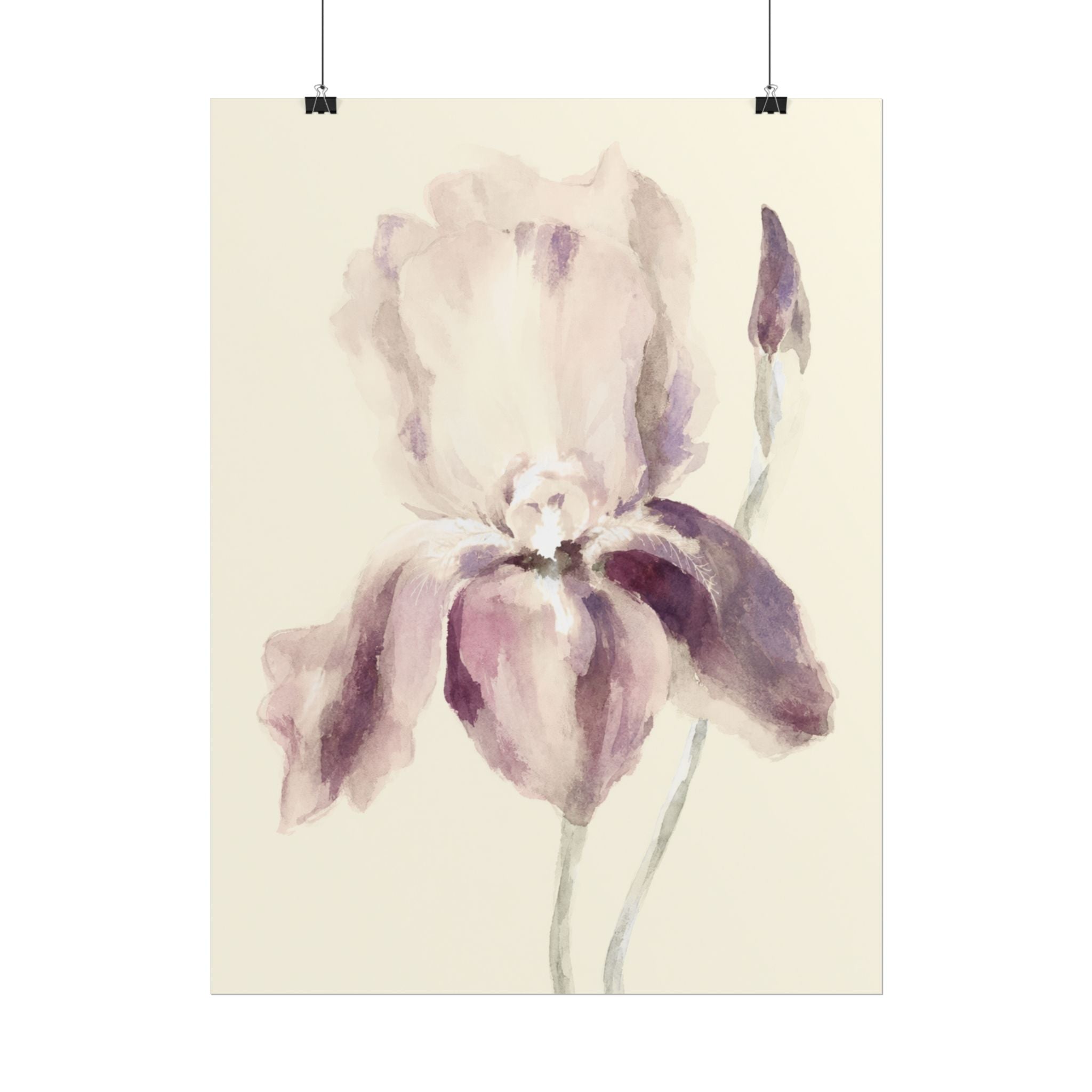 Purple Iris Print