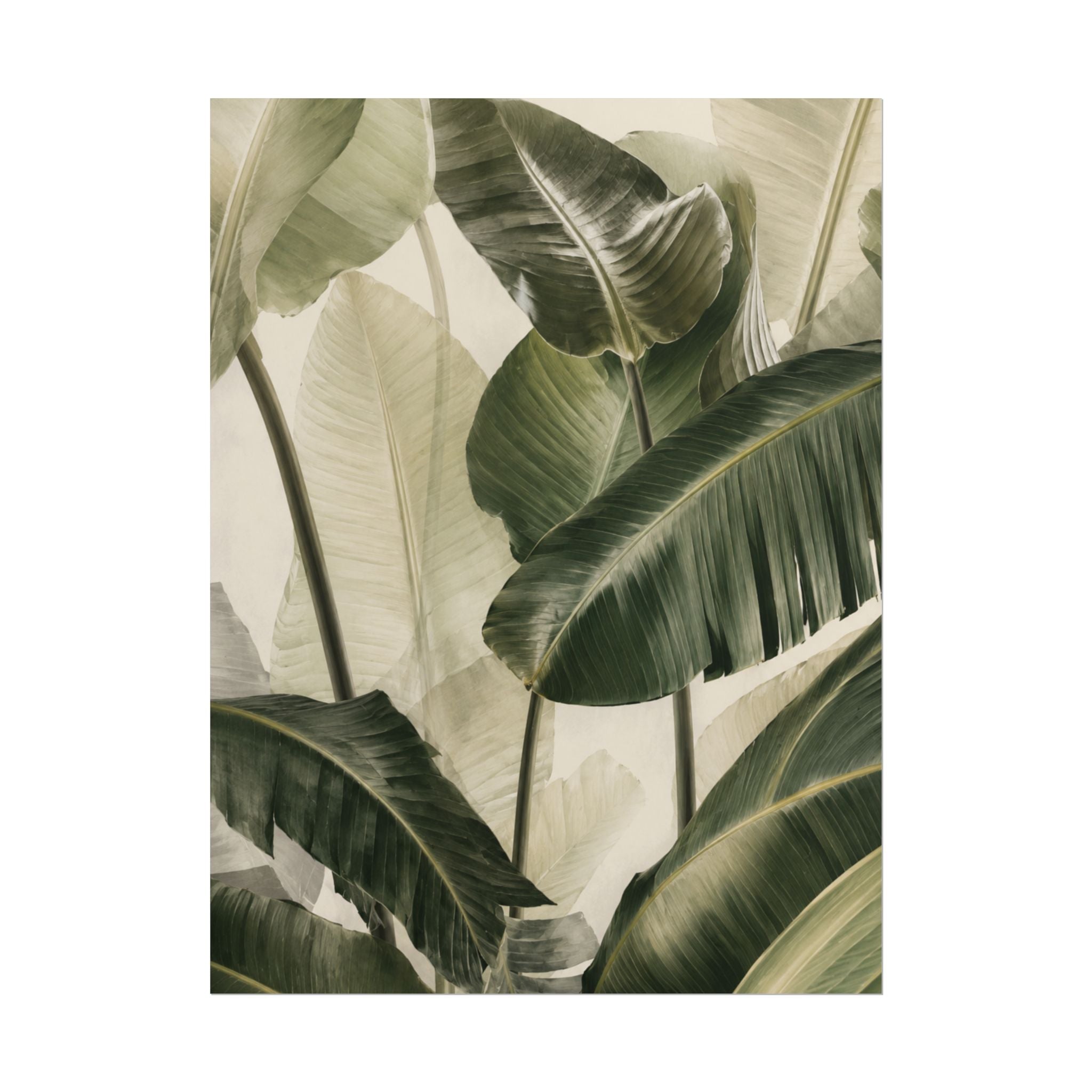Tropical Foliage Print
