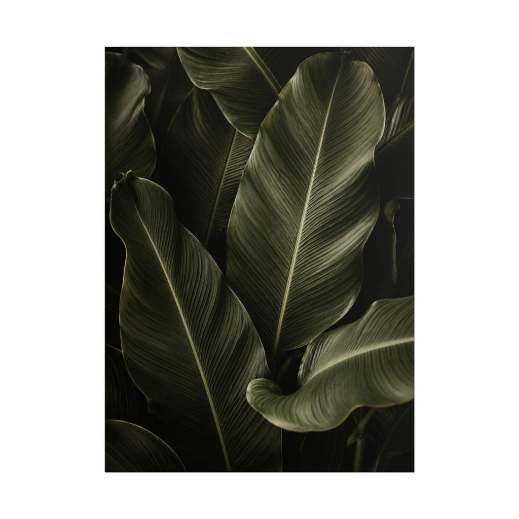Dark Banana Leaf Print