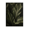 Dark Banana Leaf Print