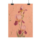 Blush Iris Print