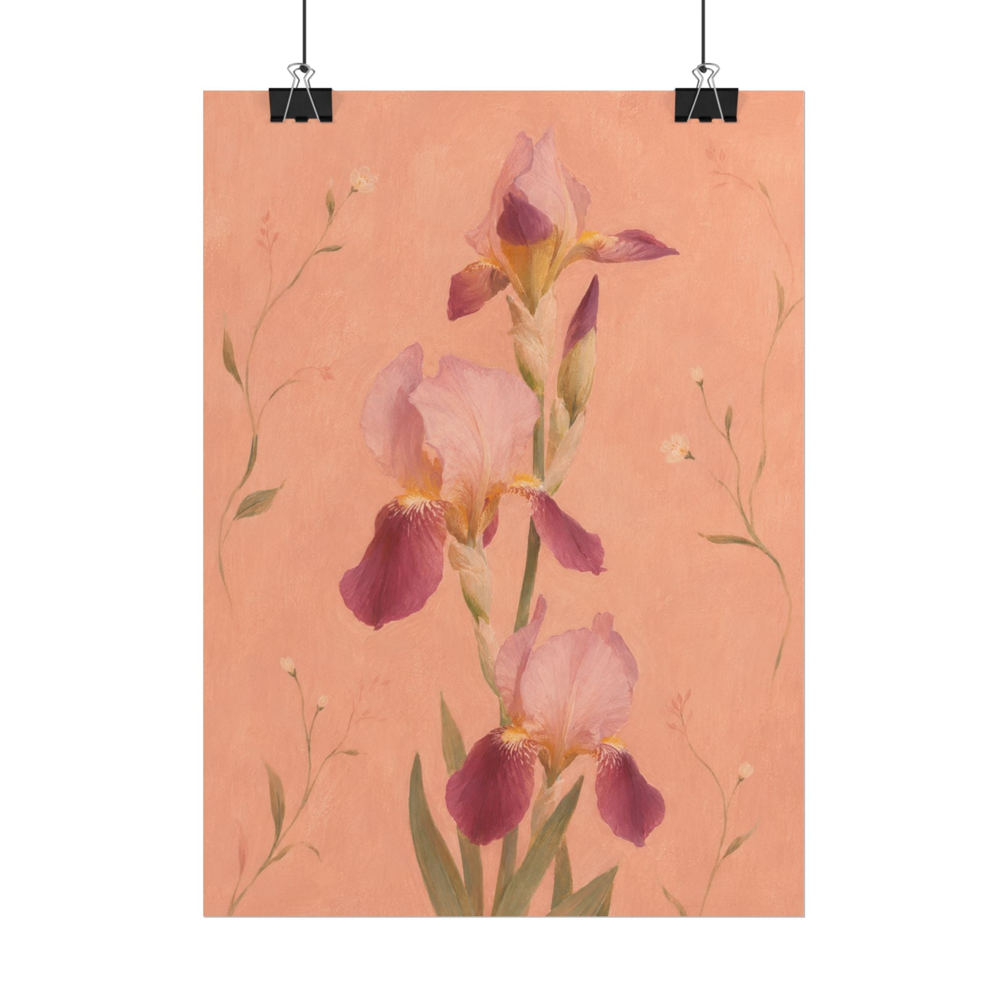 Blush Iris Print