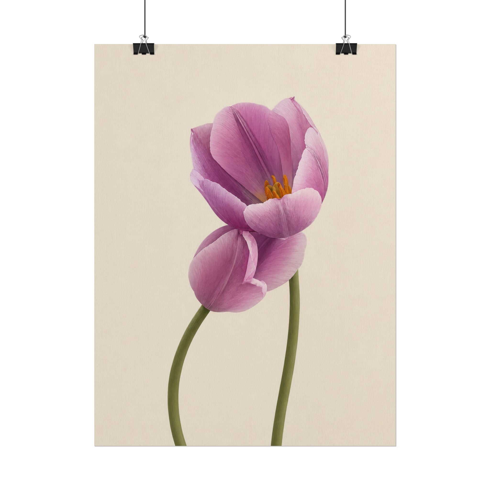 Purple Tulip Print