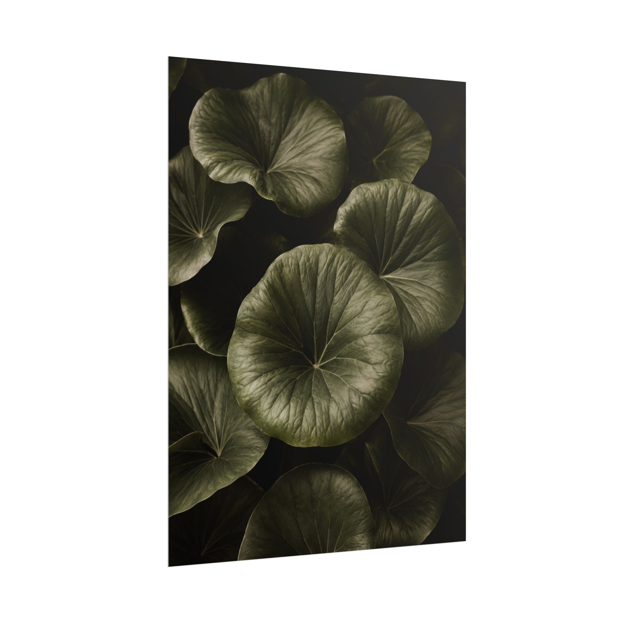 Round Leaf Botanical Print