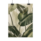 Tropical Foliage Print
