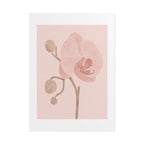 Soft Pink Orchid Print