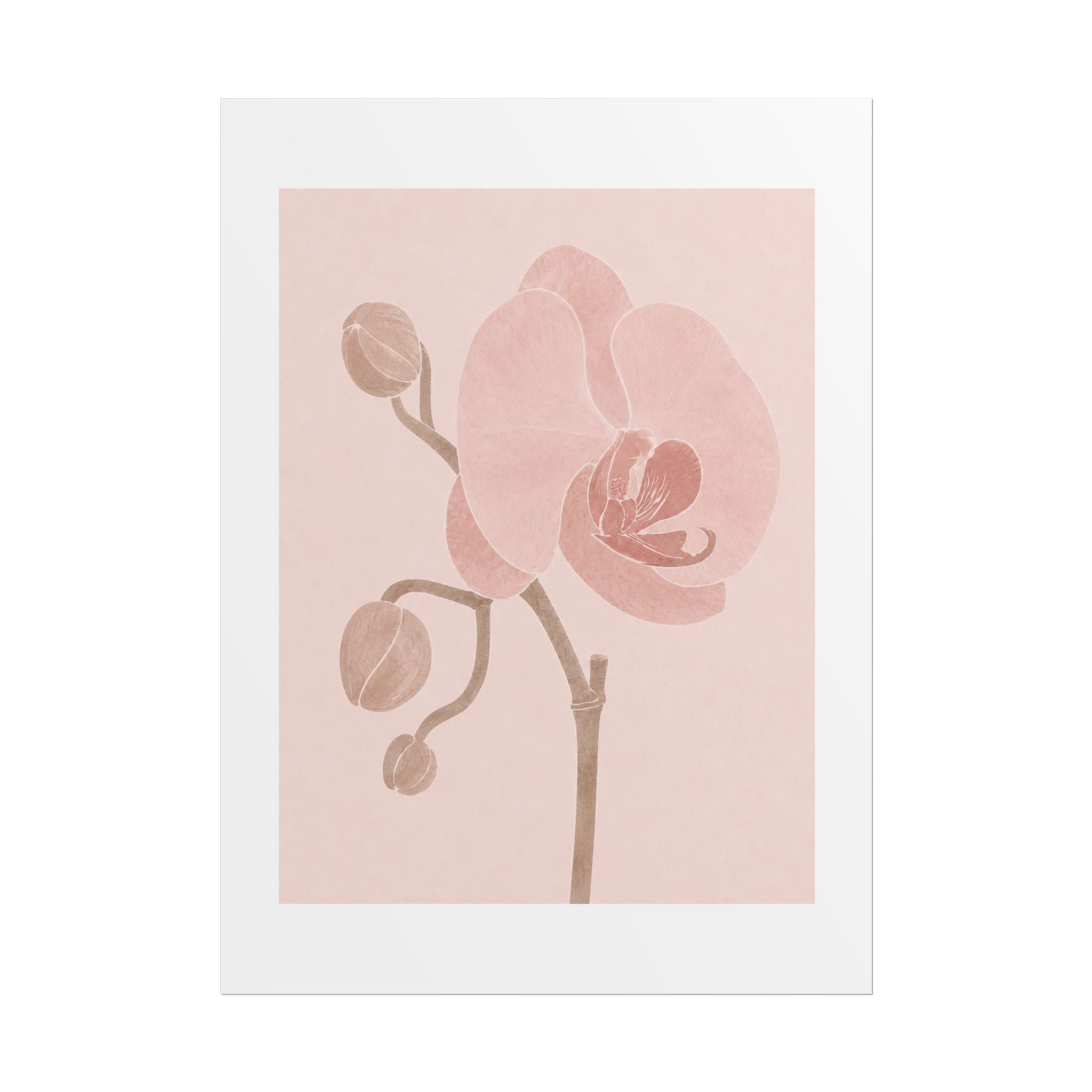 Soft Pink Orchid Print