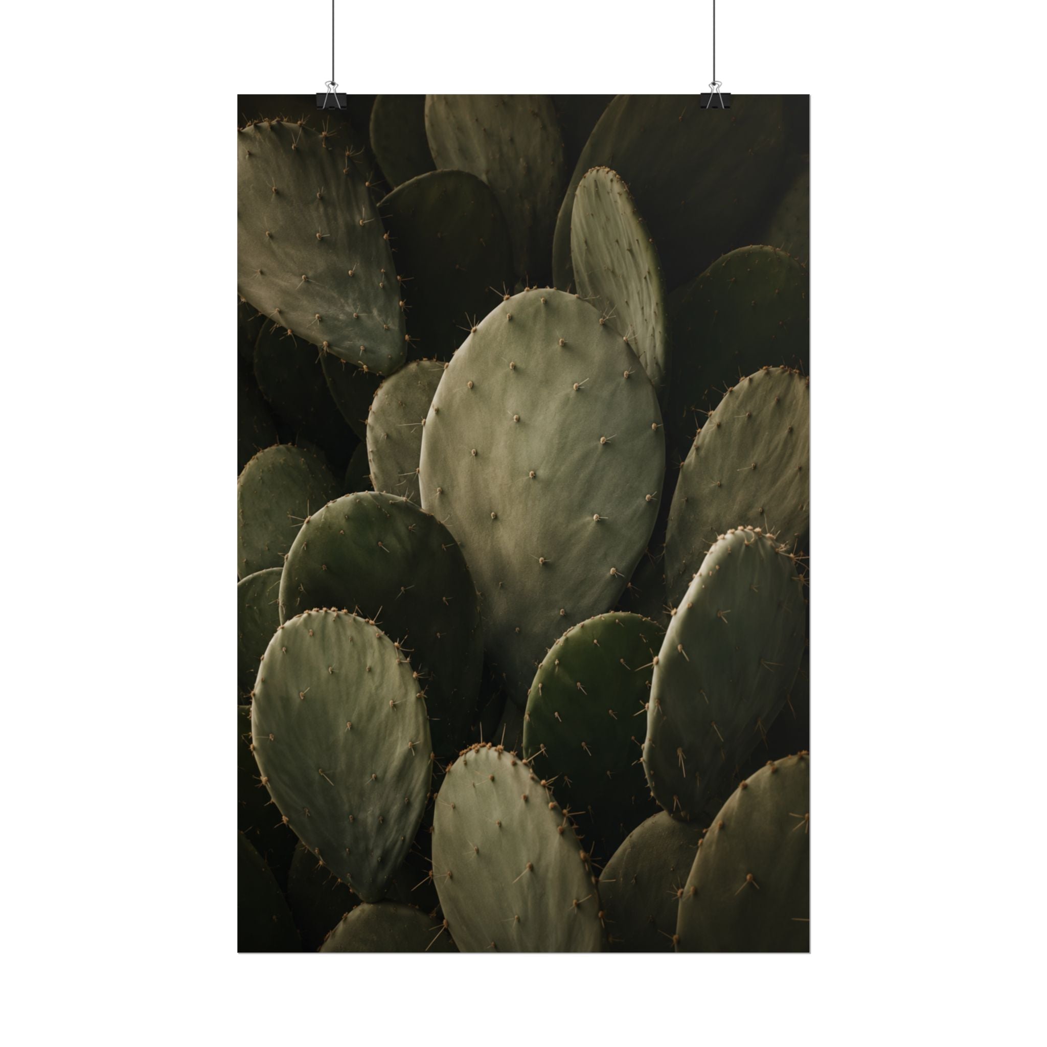 Dark Cactus Print