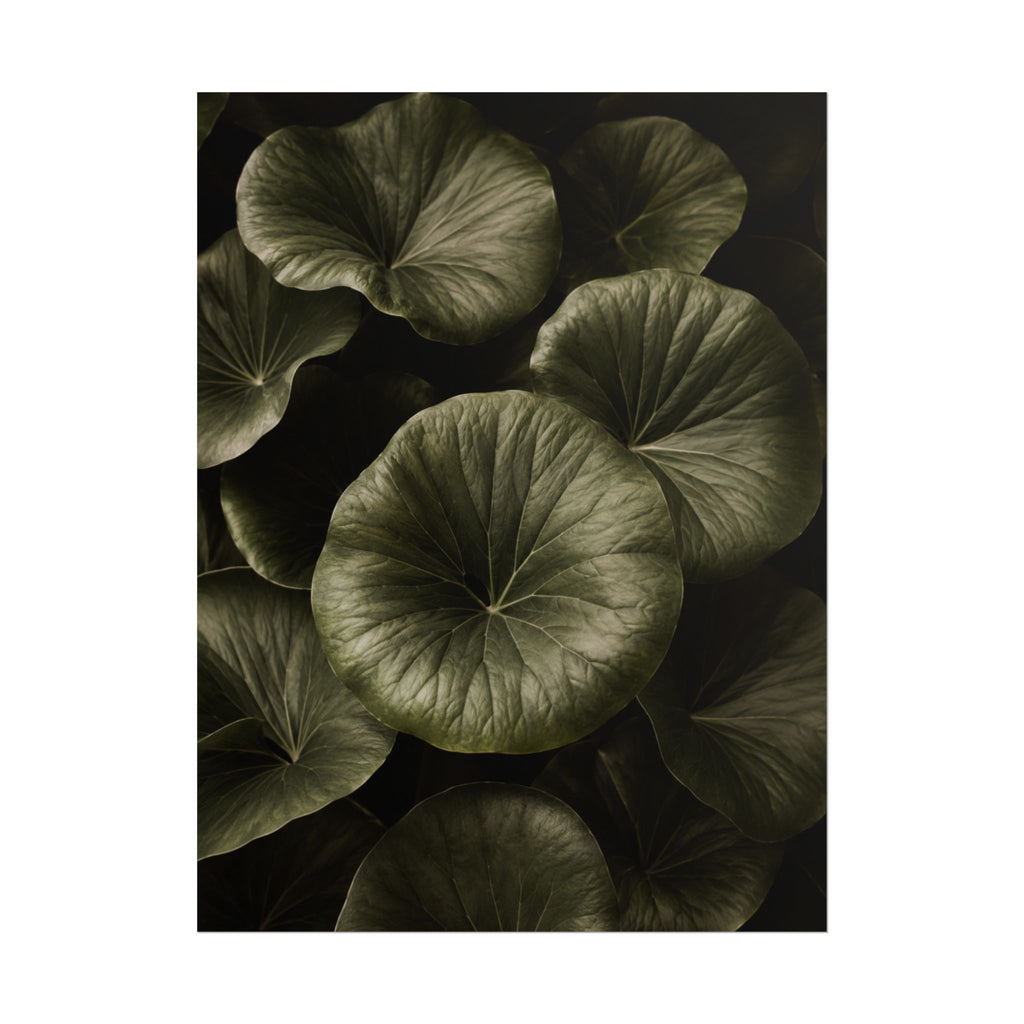 Round Leaf Botanical Print