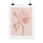 Soft Pink Orchid Print