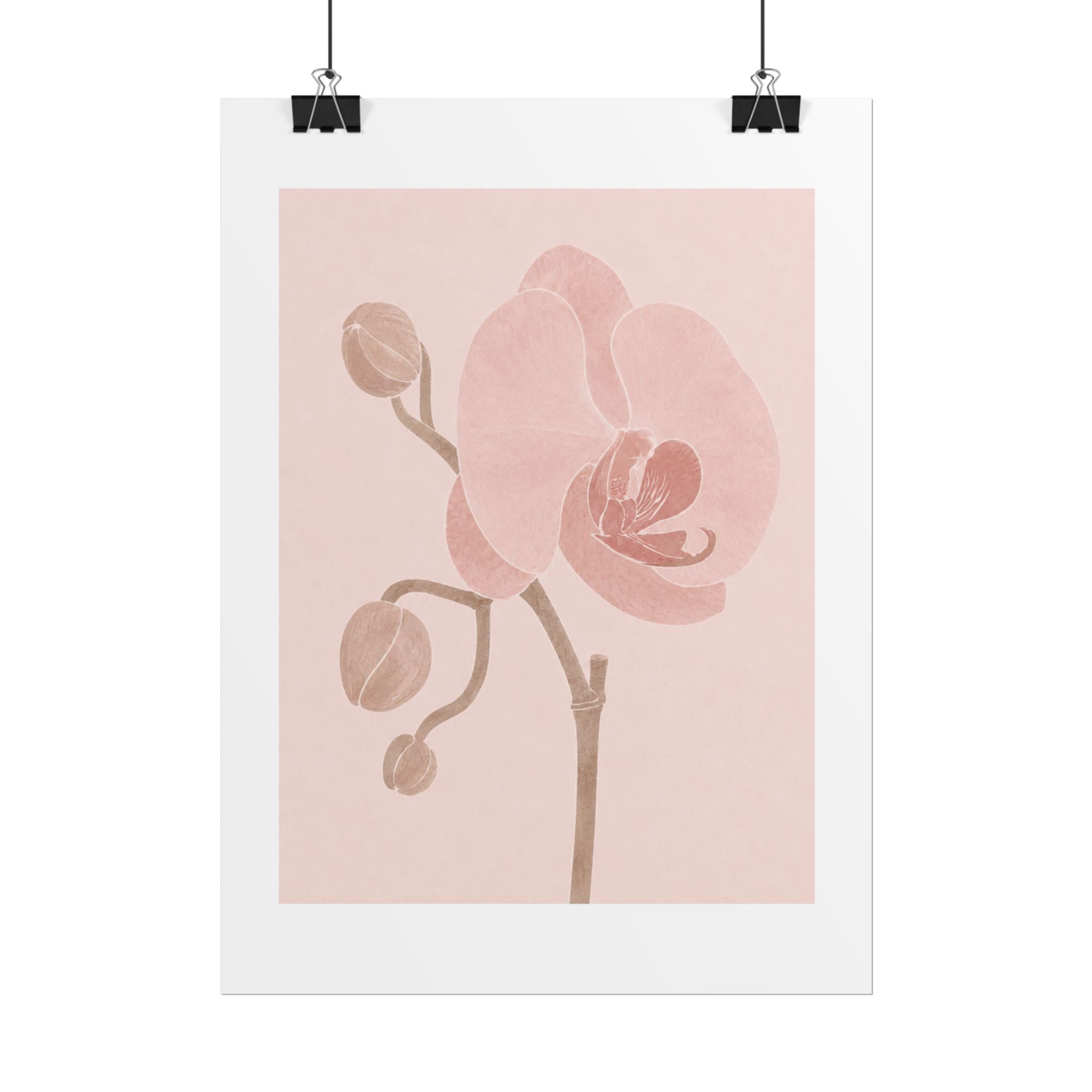 Soft Pink Orchid Print