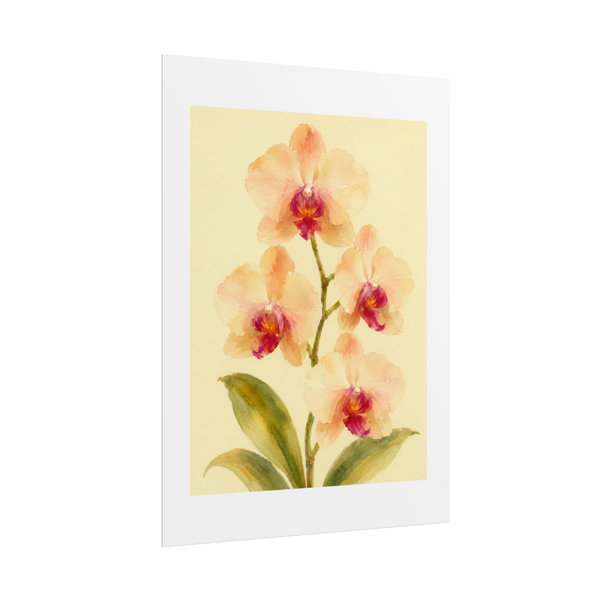 Peach Orchid Watercolor Print