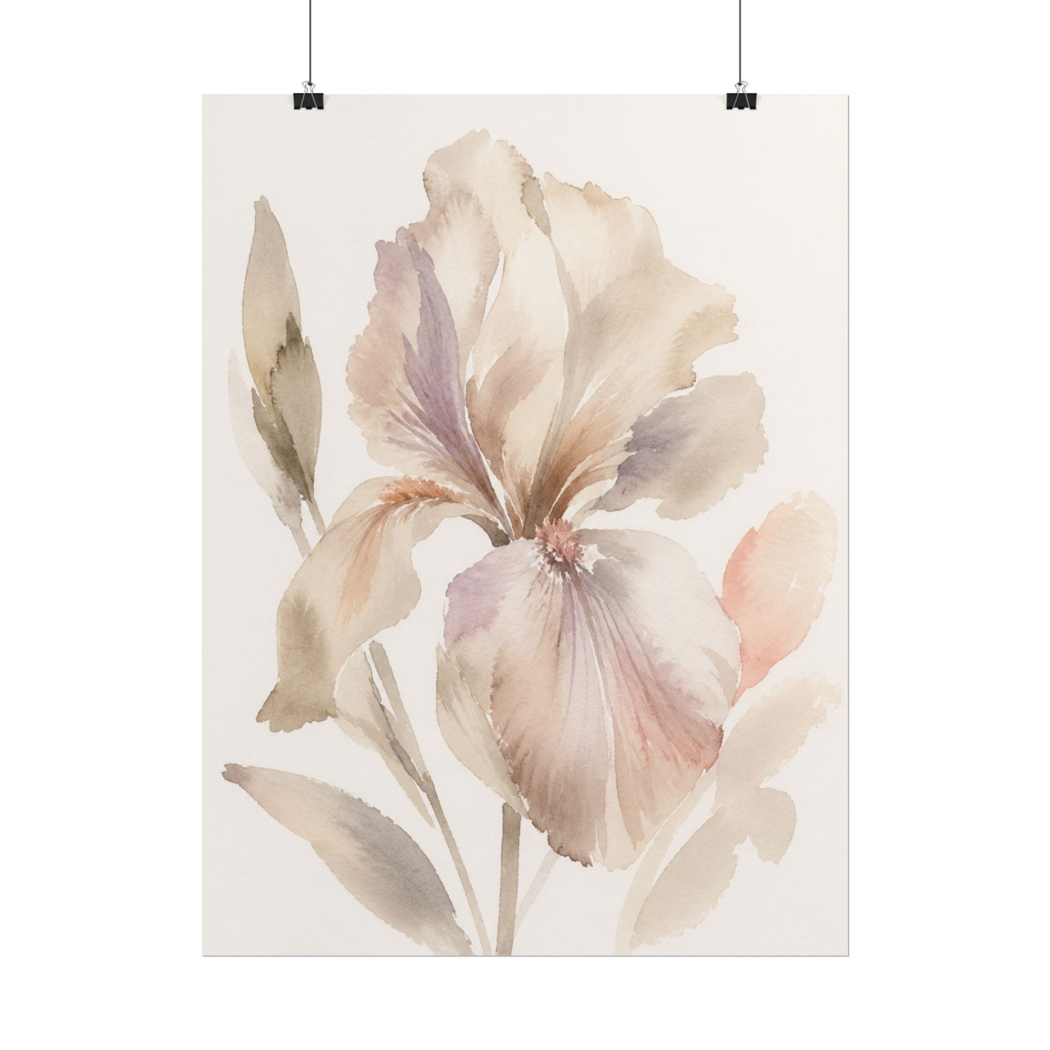 Soft White Iris Print
