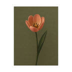 Peach Tulip Print