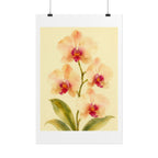 Peach Orchid Watercolor Print