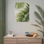 Palm Leaf Shadow Print