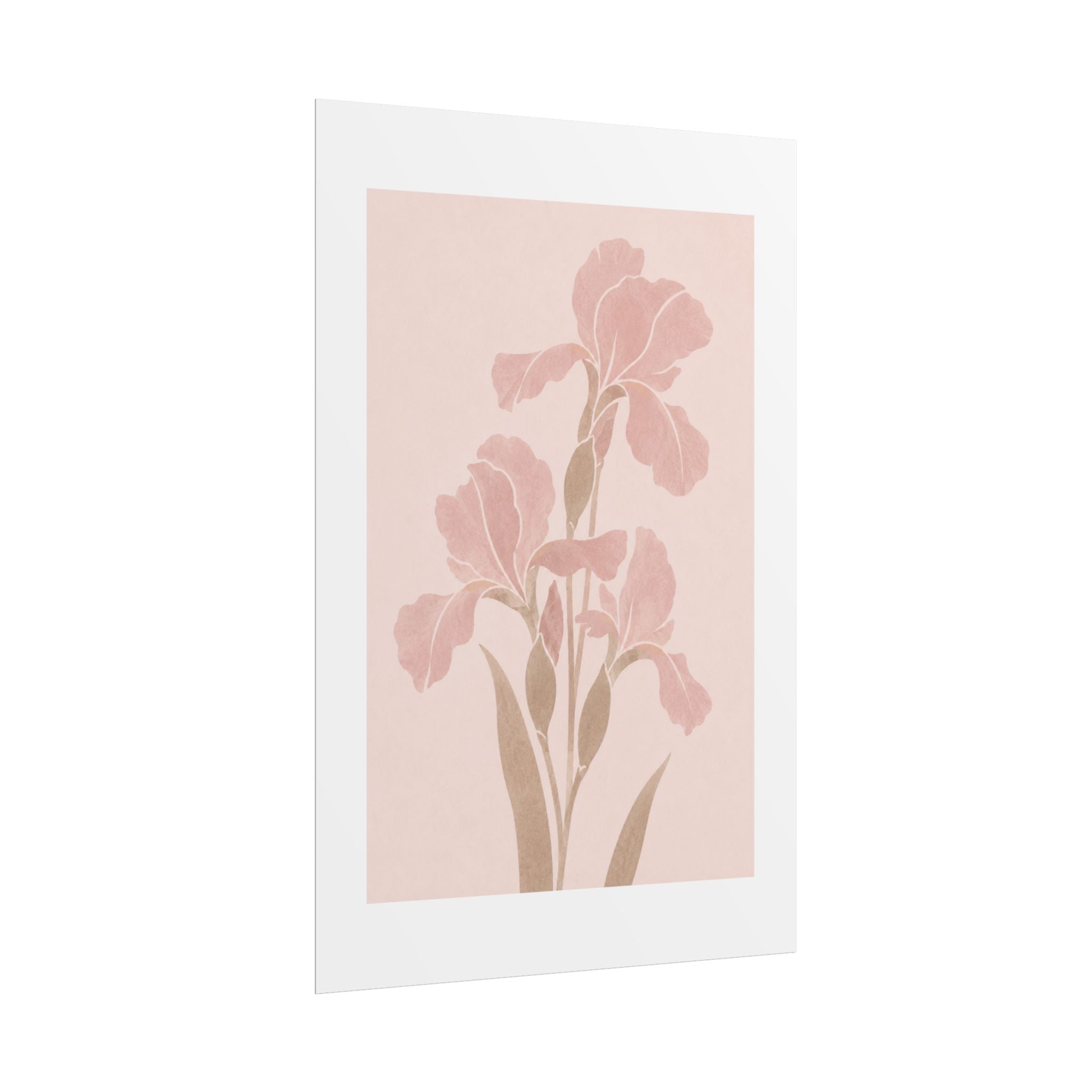 Blush Iris Stem Print