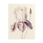 Purple Iris Print