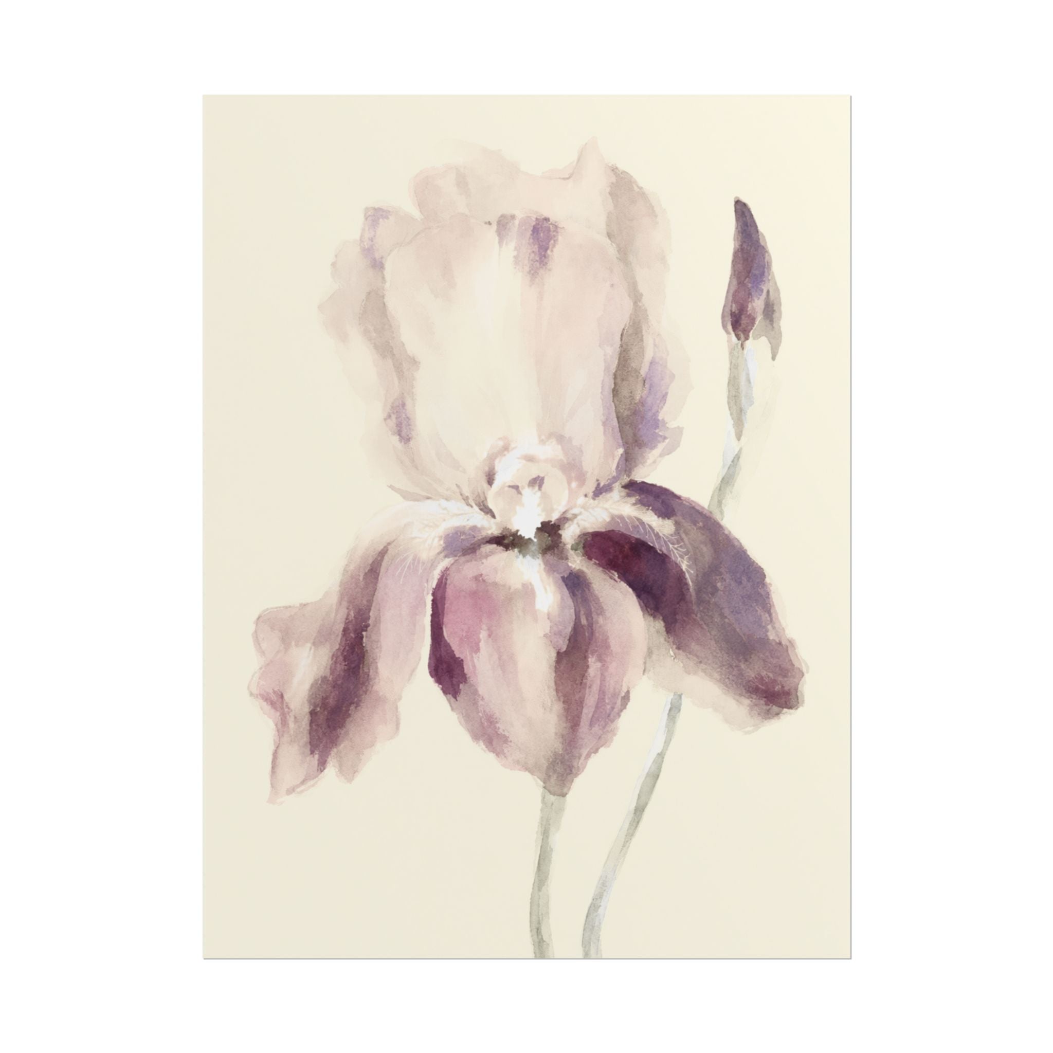 Purple Iris Print