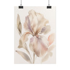 Soft White Iris Print