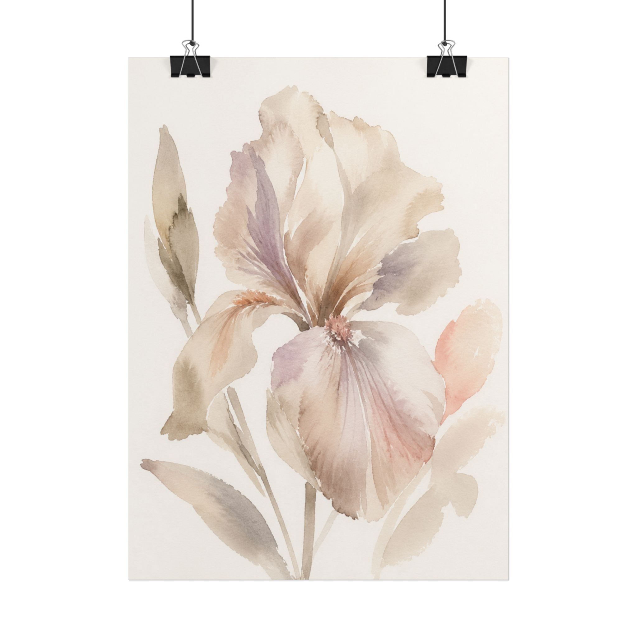 Soft White Iris Print