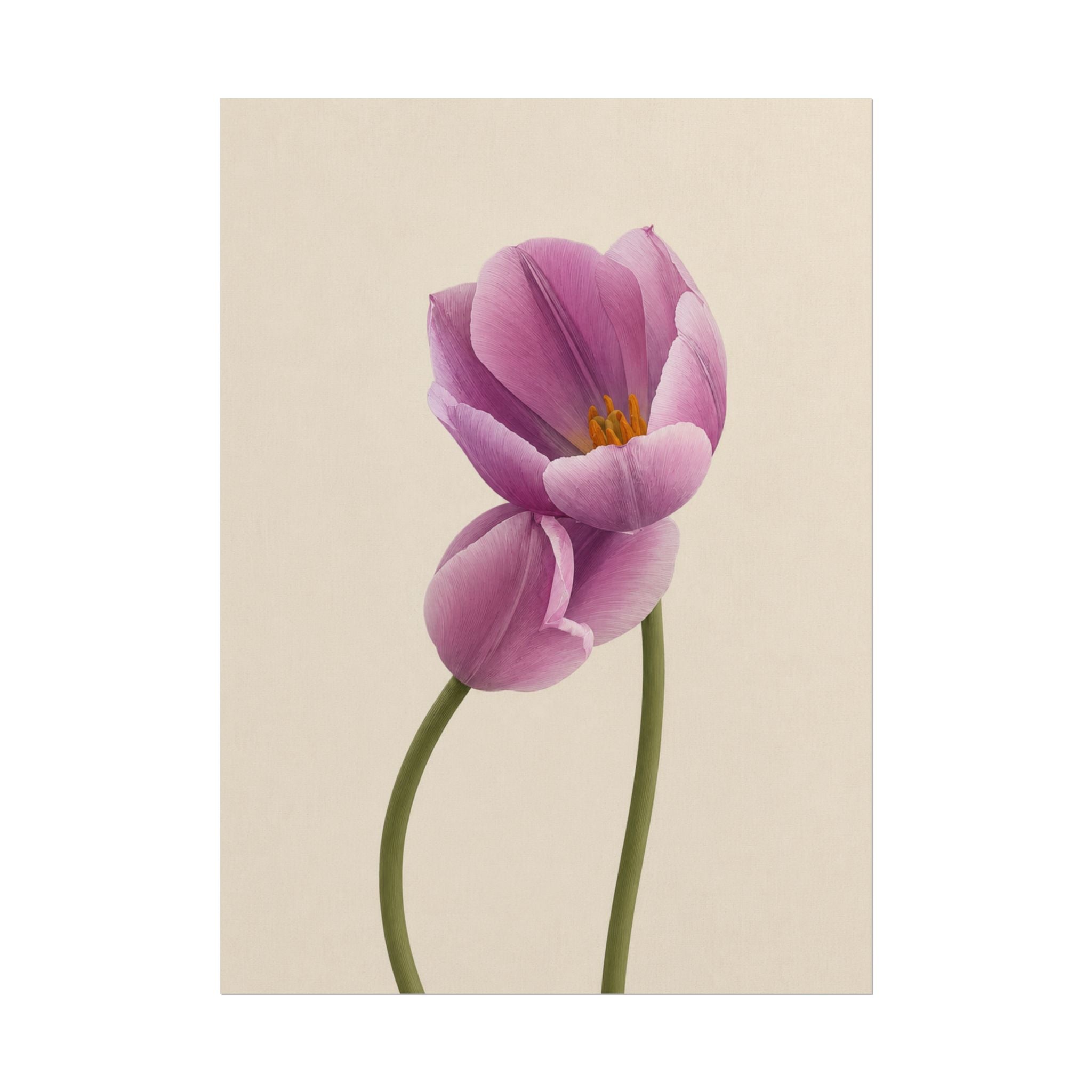 Purple Tulip Print