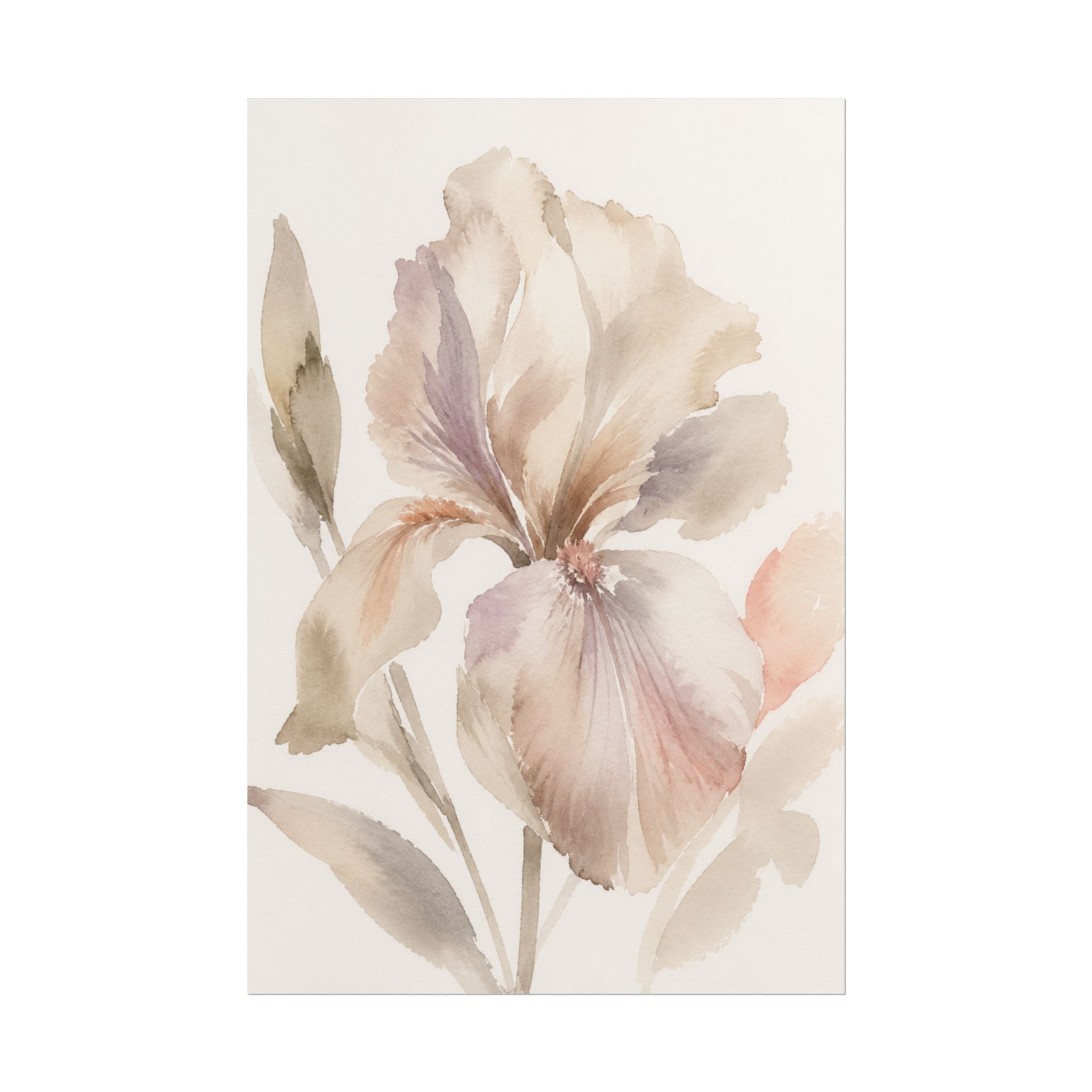Soft White Iris Print