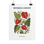 Anthurium Botanical Print