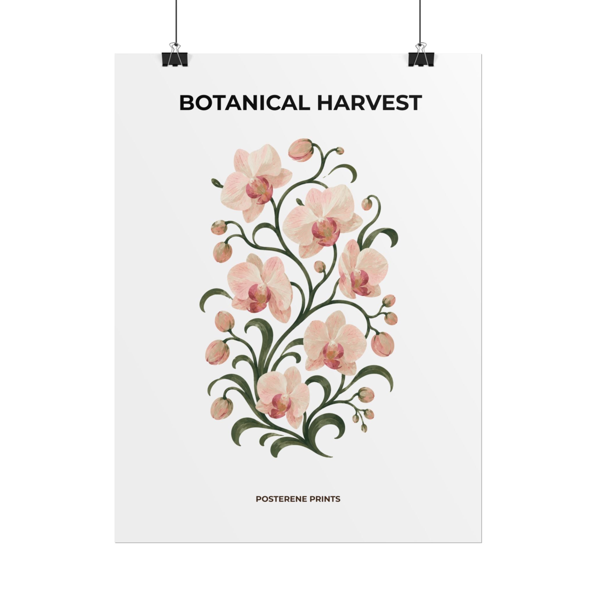 Soft Orchid Botanical Print