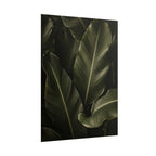 Dark Banana Leaf Print