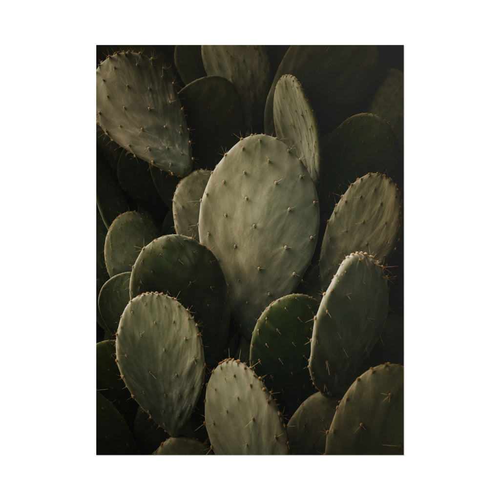 Dark Cactus Print