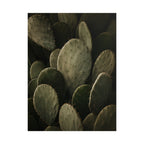 Dark Cactus Print