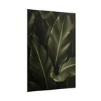 Dark Banana Leaf Print