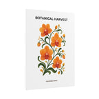 Orange Orchid Botanical Print