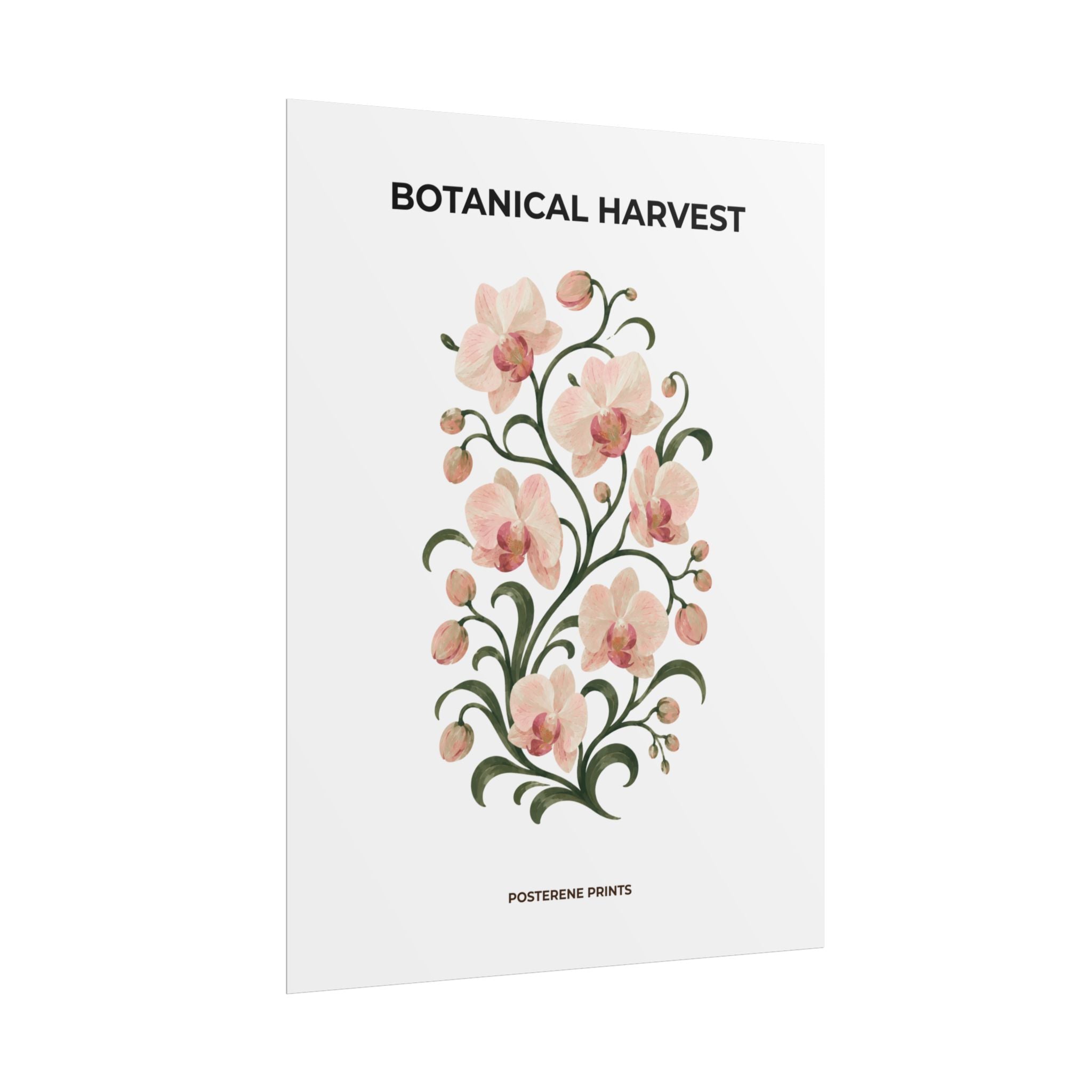 Soft Orchid Botanical Print
