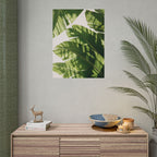 Banana Leaf Shadow Print