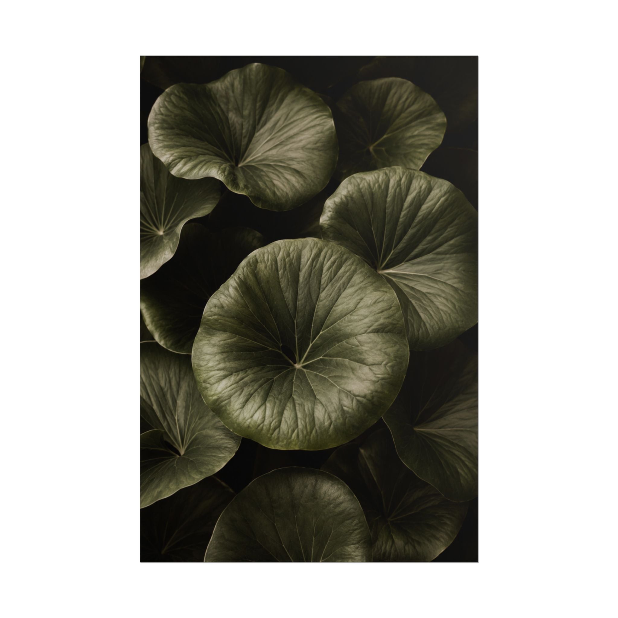 Round Leaf Botanical Print