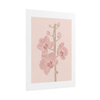 Blush Orchid Branch Print