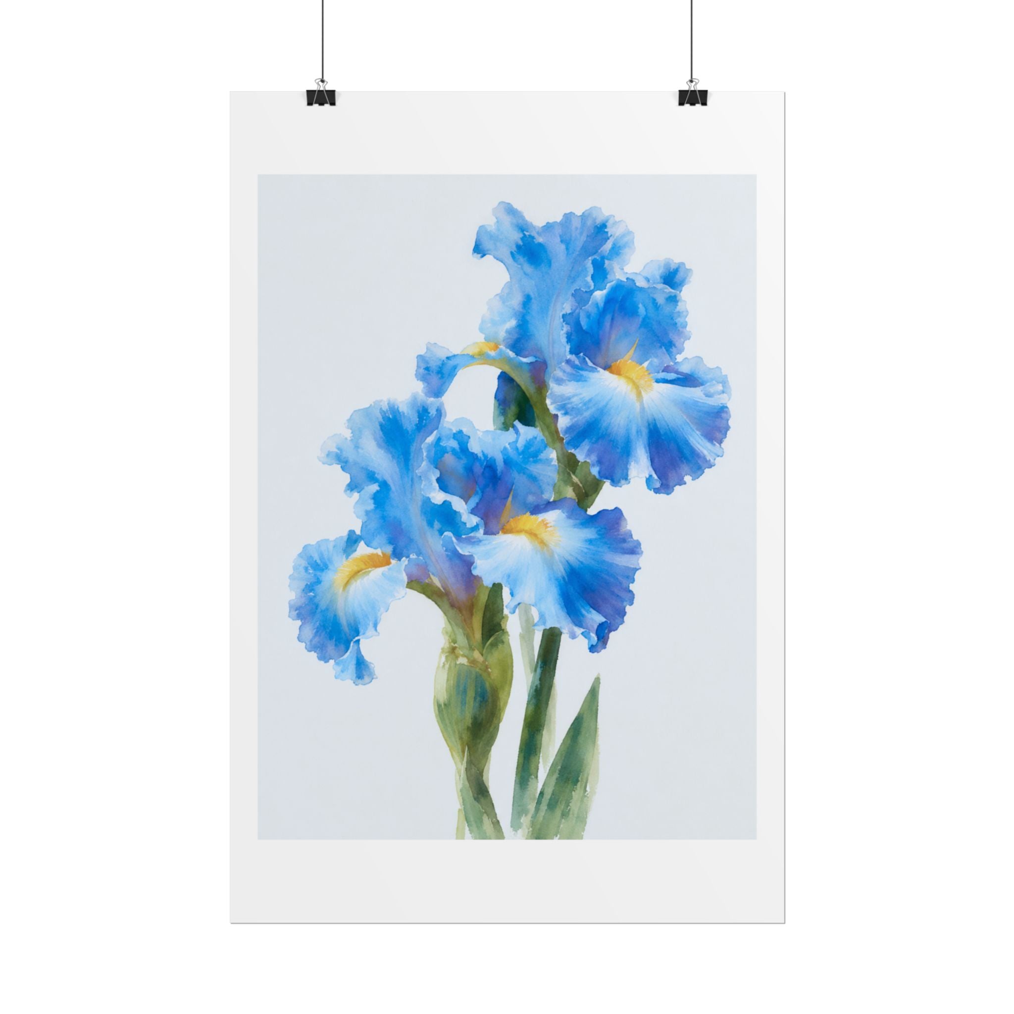 Blue Iris Watercolor Print