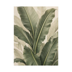 Banana Leaves Print