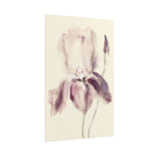 Purple Iris Print