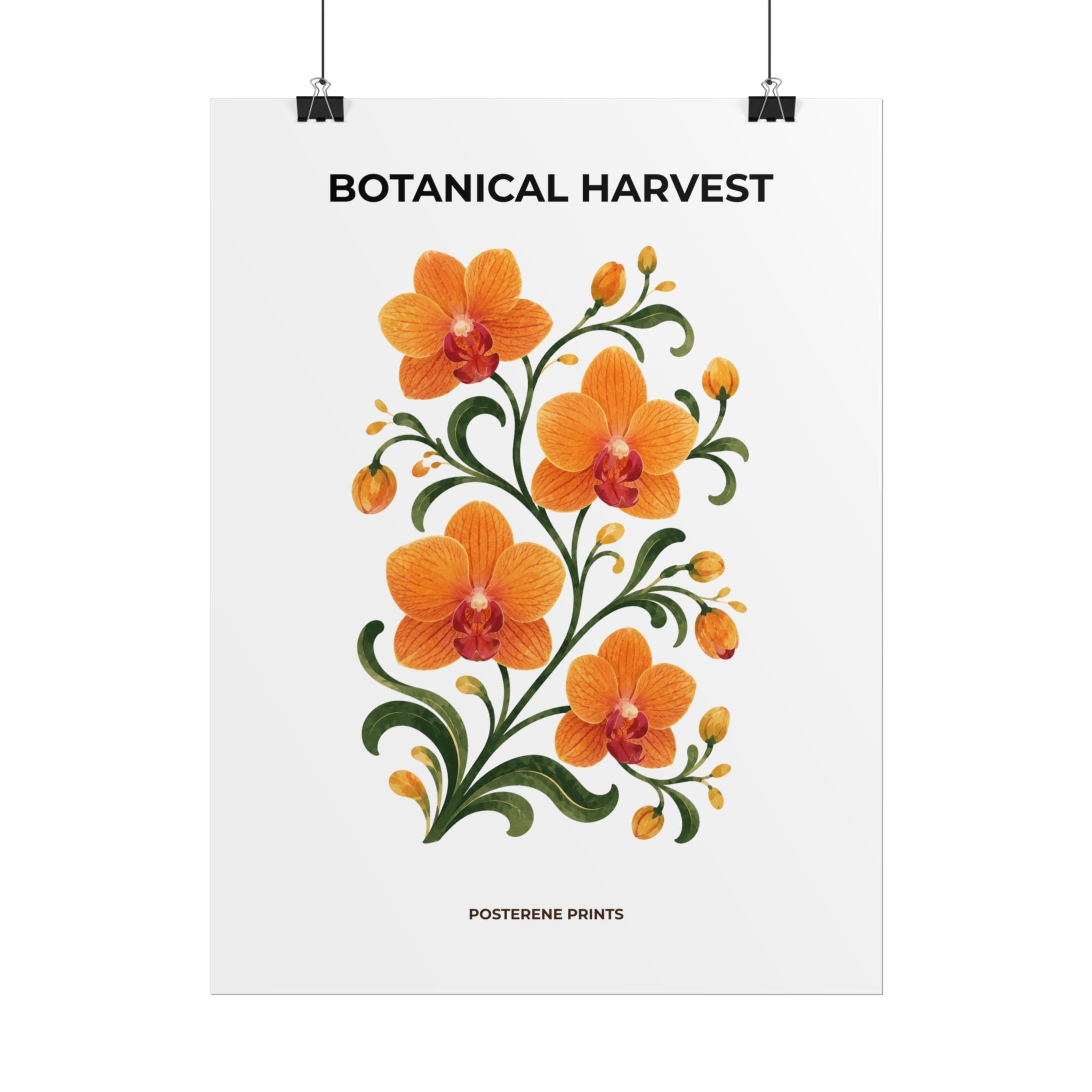 Orange Orchid Botanical Print