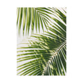 Palm Leaf Shadow Print