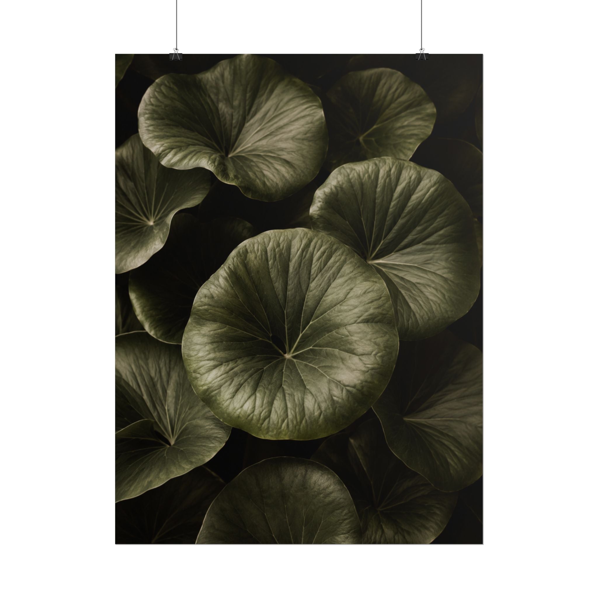 Round Leaf Botanical Print